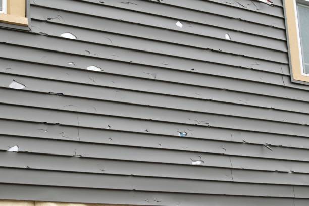 Best Steel Siding Installation  in Brownlee Park, MI